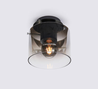 Roxy plafond 1 lys
