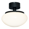 New August plafond svart