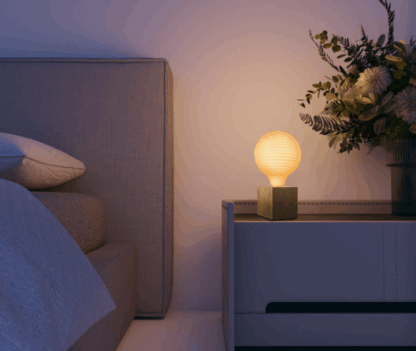 Papyrus Globe 220lm dimbar - Bilde 2