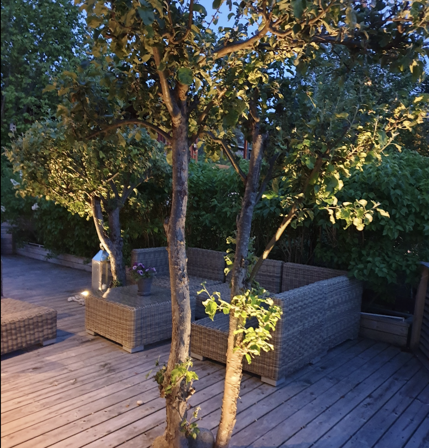 Catania hagespot m/jordspyd IP65 - Bilde 4